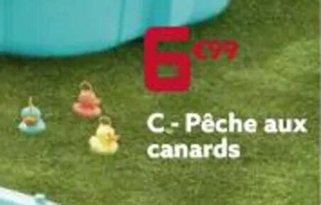 Promo Peche Aux Canards Chez Gifi