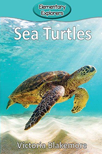 25 Of The Most Engaging Sea Turtle Books For Kids