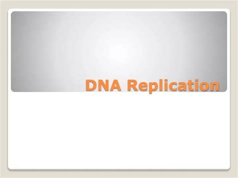 Ppt Dna Replication Powerpoint Presentation Free Download Id3030477