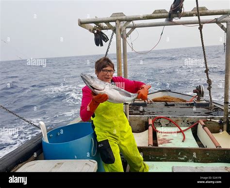 Tuna Fishing Pacific Hi Res Stock Photography And Images Alamy