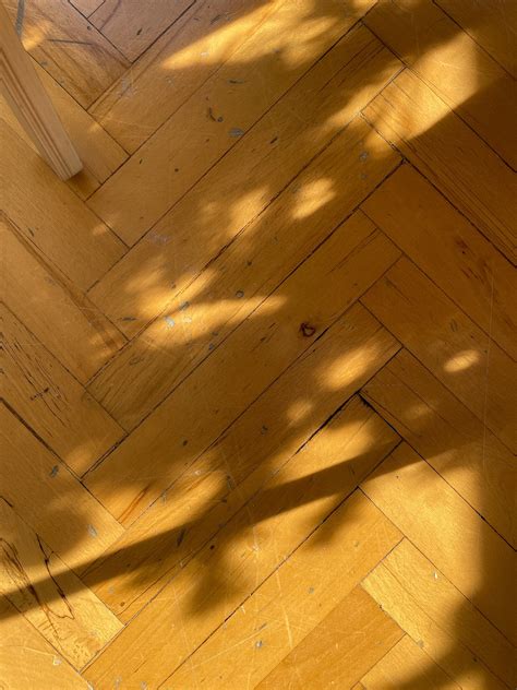 shadow shadows play  photo  pixabay pixabay