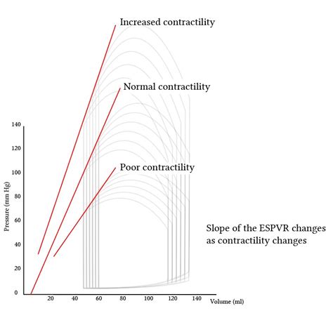 Determinants Of Contractility Deranged Physiology