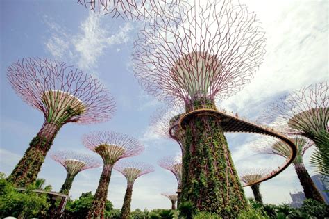 Singapore Parks And Gardens | Fasci Garden