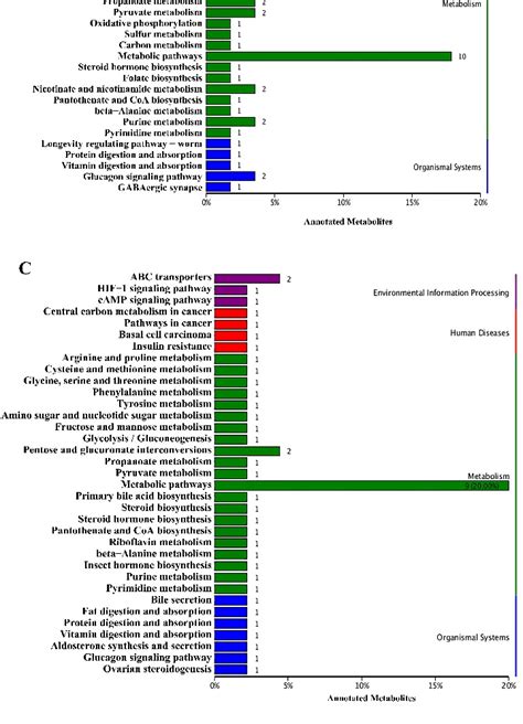 Kegg Enrichment Of Different Metabolites Between Control And Dead Group