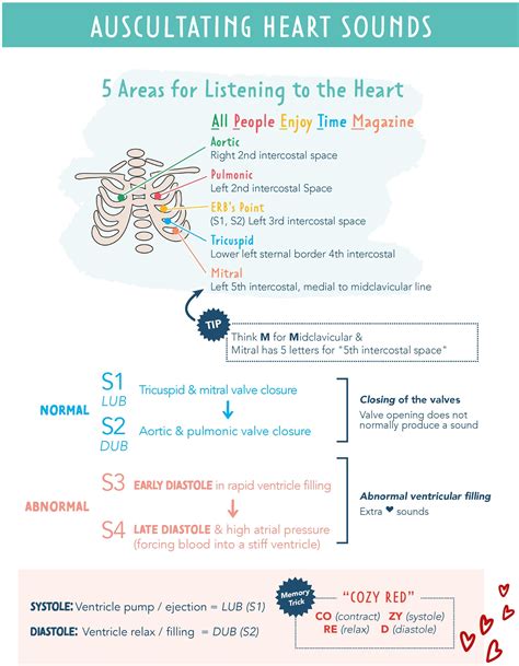 Heart Sounds Auscultation S1 S2 S3 S4 Explained With Mnemonics