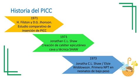 Cuidado Y Mantenimiento Del Cat Ter Picc Pptx