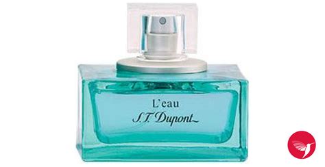 L Eau De S T Dupont Pour Homme S T Dupont Una Fragranza Da Uomo 2004