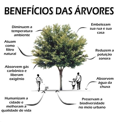 Floram Funda O Municipal Do Meio Ambiente