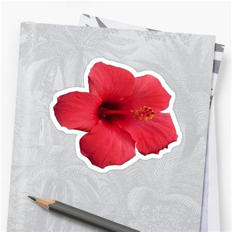 Stunning Red Hibiscus Flower Sticker By Taiche Wine T Boxes