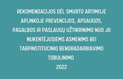 Rekomendacijos dėl smurto artimoje aplinkoje prevencijos apsaugos