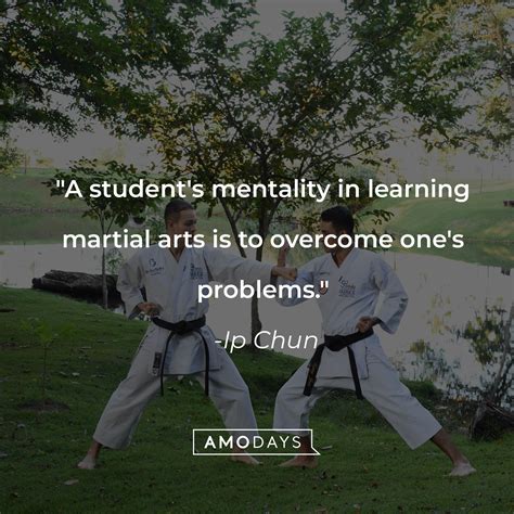 49 Martial Arts Quotes To Instil Discipline And Tranquility