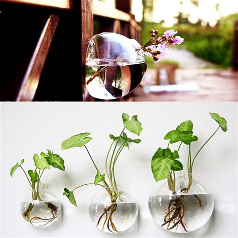 Yarlung Set Of 6 Wall Hanging Planters Terrarium Glass Oblate Globe