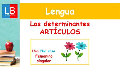 Determinante ARTÍCULO PRIMARIA YouTube