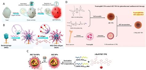 Advances In Biomimetic Aie Nanoparticles For Diagnosis And Phototherapy Nanoscale Rsc