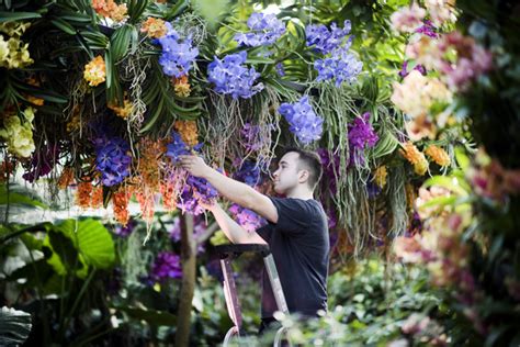 Top Imagen Kew Gardens Orchid Festival Abzlocal Fi