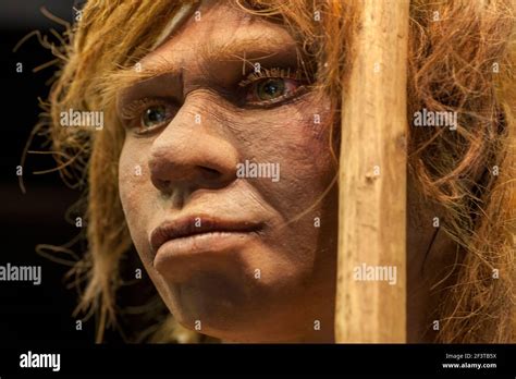 Neanderthal Reconstruction Hi Res Stock Photography And Images Alamy