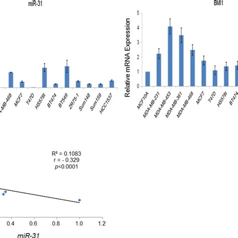 BMI1 And MiR 31 Expression Negatively Correlates In Breast Cancer Cell