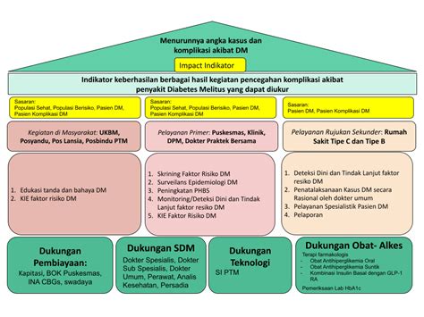 Pendampingan Program Pengendalian Penyakit Diabetes Melitus Di Kota