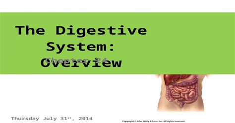 Ppt Digestive System Part 1 Dokumentips