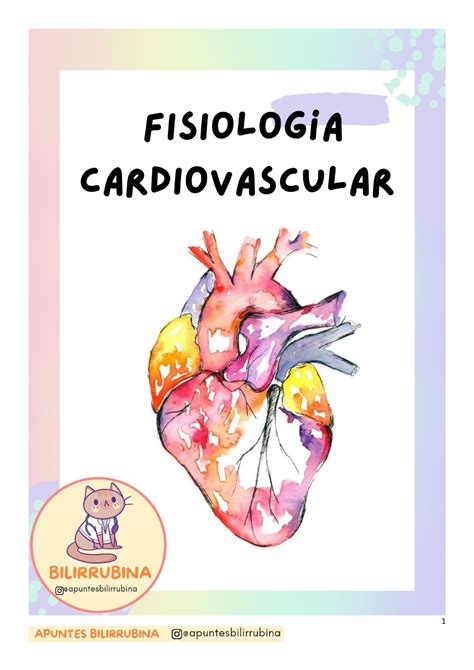 Fisiolog A Cardiovascular Anatom A Del Coraz N Ubicado En Mediastino