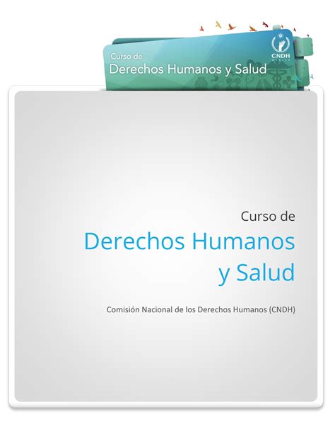 Derechos Humanos Studocu