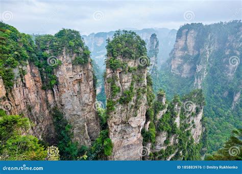 Zhangjiajie Mountains China Stock Photo Image Of Forest Chinese