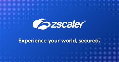 What is cloud security? - Key Concepts Explained | Zscaler (2023)