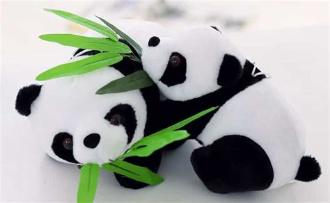 Panda kuscheltier • Mein Pluschtier