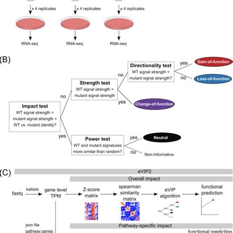 The EVIP Algorithm Uses RNA Seq Data To Predict The Function Of Somatic