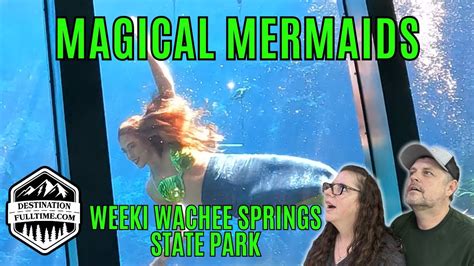 The Magical Mermaids Of Weeki Wachee Springs State Park Destination