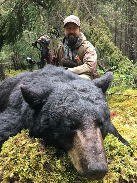 Black Bear Hunts — Candle Lake Outfitters