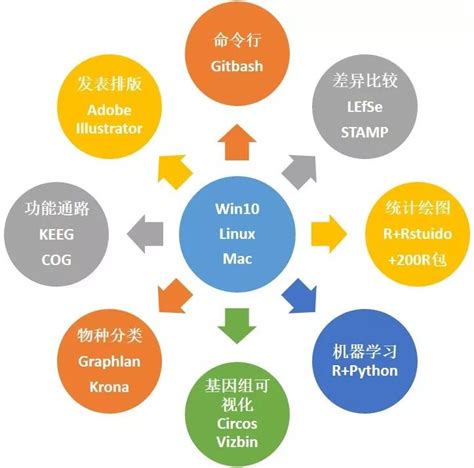 三天实现独立分析宏基因组数据 有参、无参和分箱等 Csdn博客