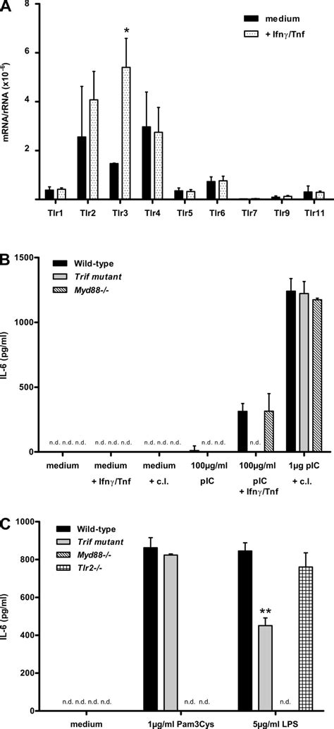 Toll Like Receptor Tlr Expression And Tlr Signaling In Primary Download Scientific Diagram