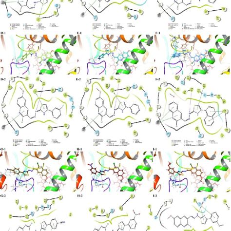 Docking Poses Of The Antifungal Active Compounds In The Active Side Of