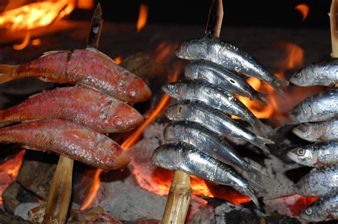 Descubre los sabores auténticos de Málaga Platos típicos de la región