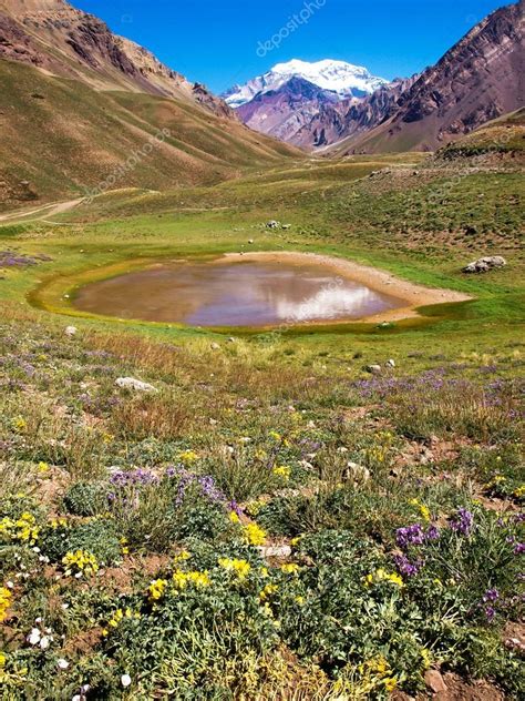 Beautiful Nature Landscape With Aconcagua In The Background As Seen In