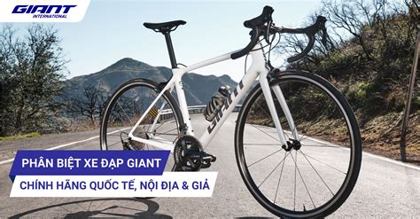 PhÂn BiỆt Xe ĐẠp Giant ChÍnh HÃng QuỐc TẾ Giant NỘi ĐỊa VÀ Giant GiẢ