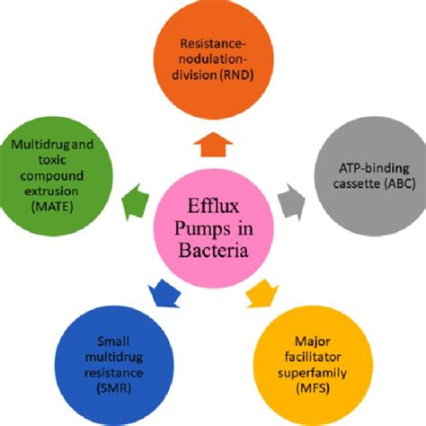 Different Types Of Efflux Transporters Present In The Living System Download Scientific Diagram