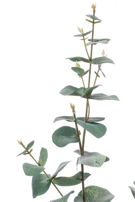 Kunst Eucalyptus Tak Cm Ambiplants Dk