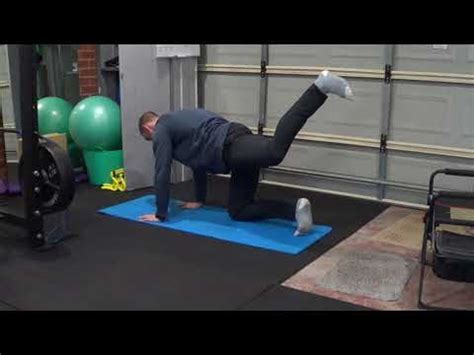 Quadruped Glute Kickbacks Youtube