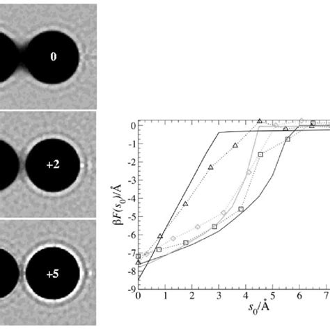 Left Cylindrically Averaged Water Density Profiles Around Two