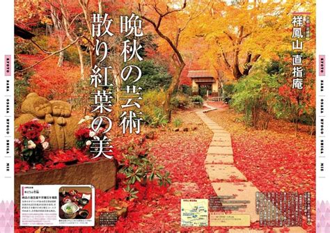 ＜画像2 17＞【おすすめ紅葉スポット】弁天堂と紅葉が映える池と光に感動！／醍醐寺京都・醍醐｜ウォーカープラス