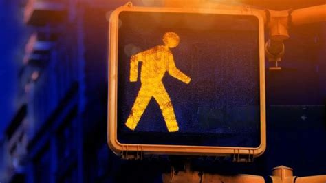 Pelican Crossings: Safeguarding Pedestrian Safety and Traffic Efficiency