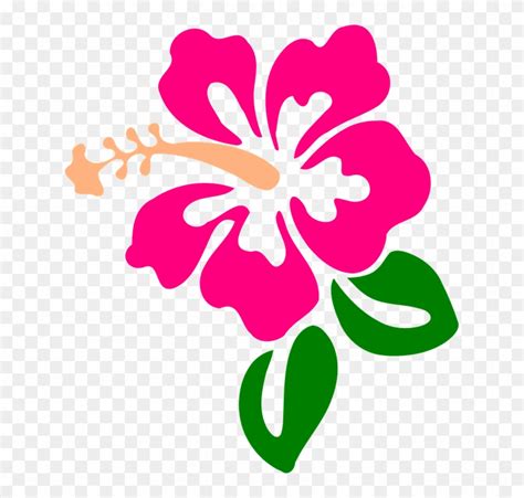 Hawaiian Flower Vector Png - Hibiscus Clip Art, Transparent Png ...