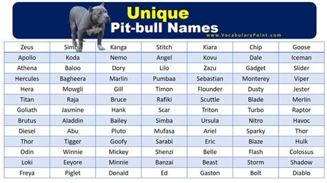 Best Unique Pitbull Names | Pitbull names, Pitbulls, White pitbull