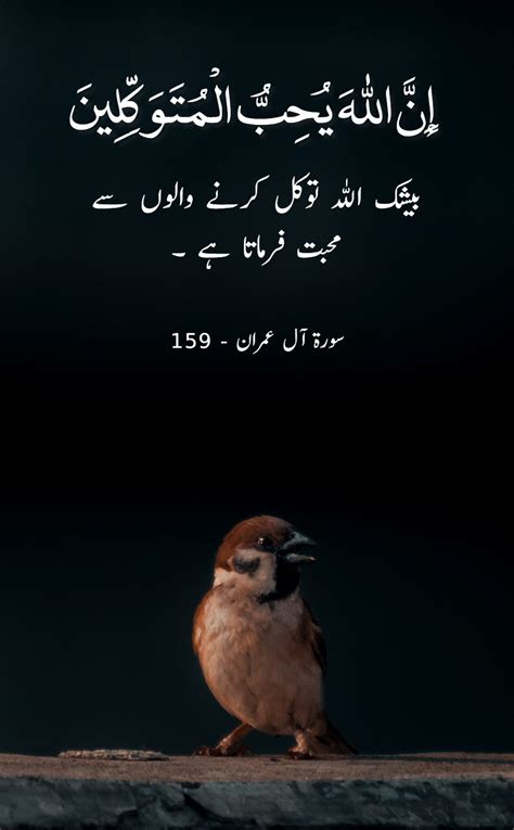 Beautiful Quran Quotes Verses In Urdu With Pictures Part 2