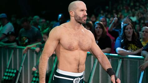 Classify Swiss Wrestler Cesaro From Wwe