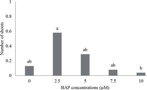 SciELO Brasil In Vitro Morphogenesis Of Physalis Ixocarpa Brot Ex