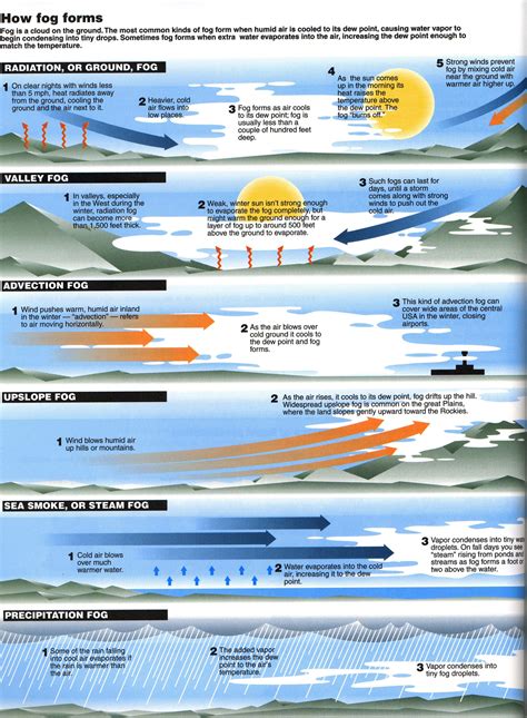 Types Of Fog