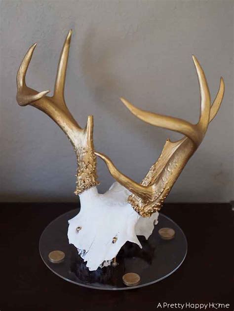 Mounted Antlers